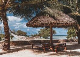 White Paradise Zanzibar 写真