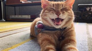 オリジン スペース