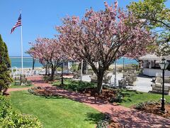 チャタム バーズ イン 写真