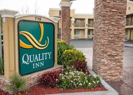 クオリティ イン チーコ+H5284 写真