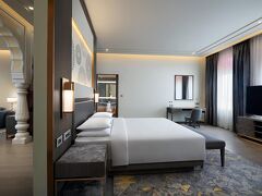 ハイアット  リージェンシー ジャイプール マンサロバー 写真