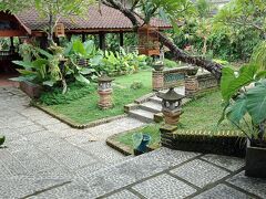 プリ パディ ウブド 写真