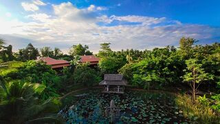 メイソンズ ワット コ