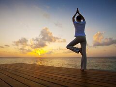 アンサナ ヴェラヴァル 写真