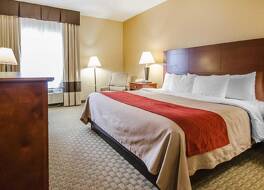 コンフォート イン ヘンダーソン - エバンスビル サウス 写真