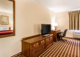 クオリティ イン アンド スイーツ 写真