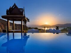 オーキッド エイラット 写真