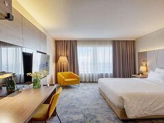 ラディソン ブル プラザ ホテル 写真