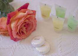 コルフ アクア ニサキ 写真