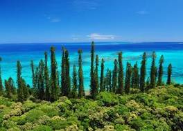 イル デ パン ホテル予約 人気ランキング フォートラベル ニューカレドニア Ile Des Pins