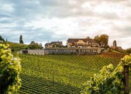 Weinrefugium Brolli 写真