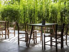 マルベリー コレクション シルク エコ 写真