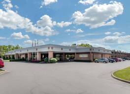 クオリティ イン エグジット 4 写真