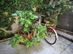 アルベルゴ アカデミア 写真