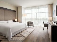 シェラトン ミラノ マルペンサ エアポート ホテル&カンファレンス センター 写真