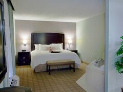 ハンプトン イン&スイーツ デトロイト カントン 写真