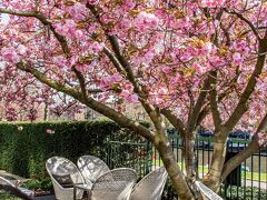 ホテル オークラ アムステルダム ザ リーディング ホテルズ オブ ザ ワールド 写真