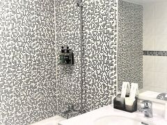 Lincoln Hotel 写真