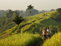 COMO Uma Ubud - CHSE Certified 写真