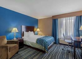 コンフォート イン & スイーツ ブレントウッド - ナッシュビル 写真