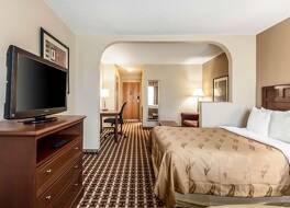 クオリティ スイーツ 写真