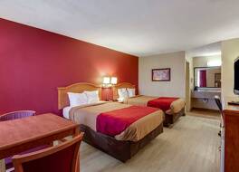 ミルツリーイン 写真