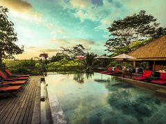 ジャングル リトリート バイ クプ クプ バロン 写真