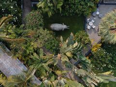 シンタ マニ アンコール 写真