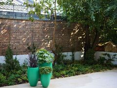 ザ エドウィン ホテル 写真