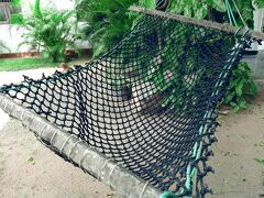 タケシ イン 写真