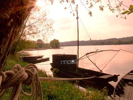 ibis Styles Tours Centre 写真