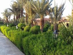 ホテル ベレーレ エルフード 写真