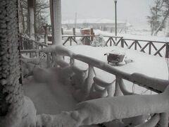 カンパニージャ 写真