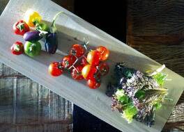 コンテ マリノ ヴィラズ