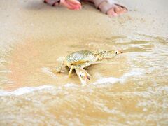 シェラトン サムイ リゾート 写真