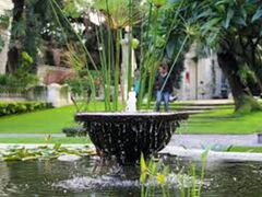 チェリー ガーデン 写真