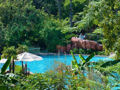 ディズニーズ アニマル キングダム ヴィラズ - キダニ ビレッジ 写真