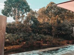 Pivot Hotel Montecasino 写真