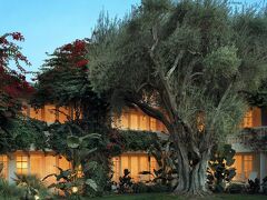 パーカー パーム スプリングス 写真