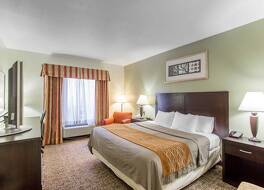 コンフォート  イン フランクリン ハイウェイ 96 写真