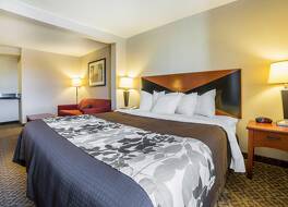 スリープ イン アンド スイーツ ラピッド シティ 写真