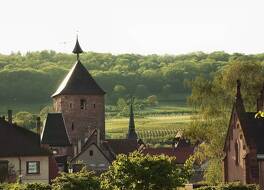 Hôtel Diana Restaurant & Spa by HappyCulture 写真