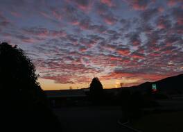 レインフォレスト モーテル 写真