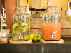 ラディソン ブル スタイル ホテル ウィーン 写真