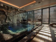 シュタインコレクション 写真