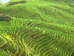 シェラトン グイリン ホテル 写真