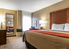 コンフォート イン & スイーツ レキシントン - ハンバーグ I-75 写真