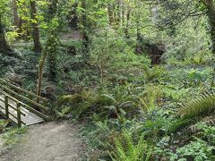 サマーフィールズ ハウス 写真