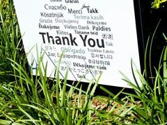 Starlight Motor Inn 写真