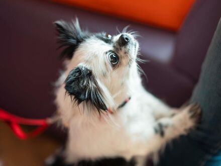 イビス ワルシャワ スタレミャスト ホテル 写真